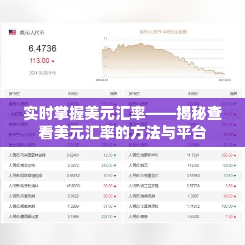 实时掌握美元汇率——揭秘查看美元汇率的方法与平台