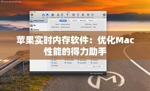 苹果实时内存软件：优化Mac性能的得力助手