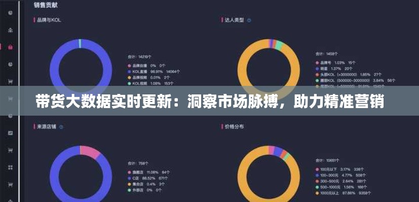 带货大数据实时更新：洞察市场脉搏，助力精准营销