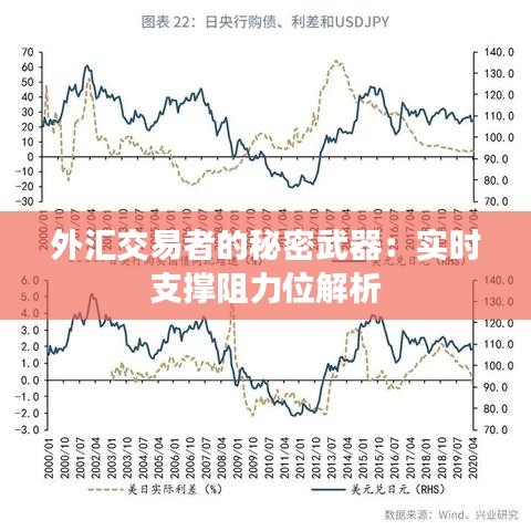 外汇交易者的秘密武器：实时支撑阻力位解析