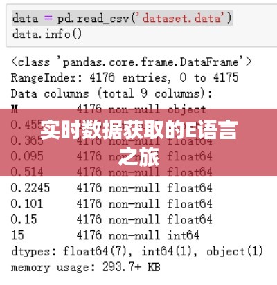 犯而不校 第2页