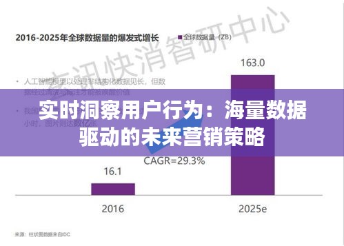 实时洞察用户行为：海量数据驱动的未来营销策略