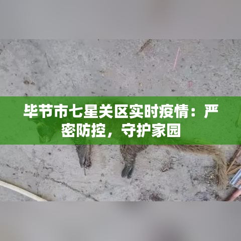 毕节市七星关区实时疫情：严密防控，守护家园