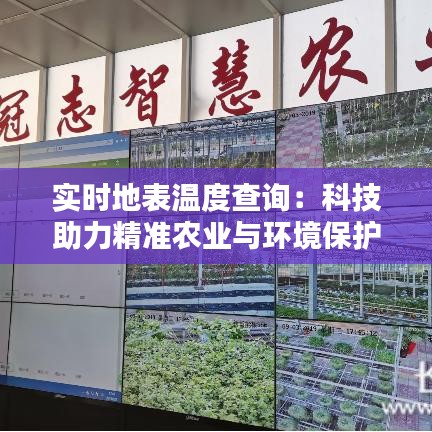 实时地表温度查询：科技助力精准农业与环境保护