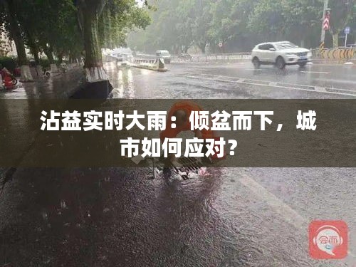 沾益实时大雨：倾盆而下，城市如何应对？