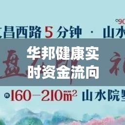 华邦健康实时资金流向分析：揭秘资本动向背后的市场逻辑