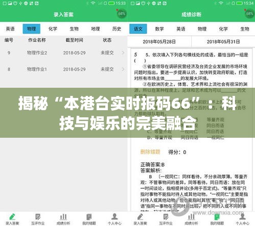 揭秘“本港台实时报码66”：科技与娱乐的完美融合