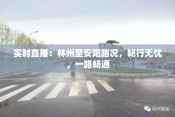 实时直播：林州至安阳路况，畅行无忧，一路畅通