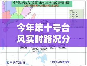 今年第十号台风实时路况分析