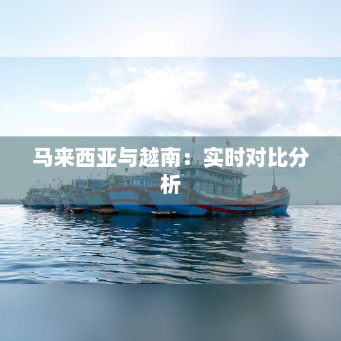 马来西亚与越南：实时对比分析