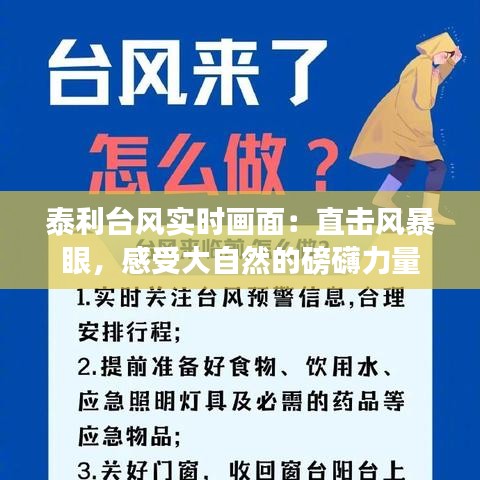 泰利台风实时画面：直击风暴眼，感受大自然的磅礴力量