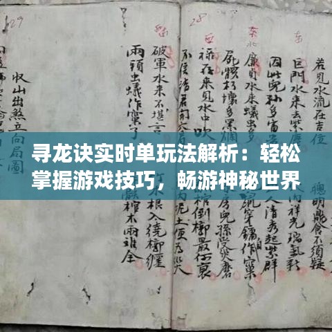 寻龙诀实时单玩法解析：轻松掌握游戏技巧，畅游神秘世界