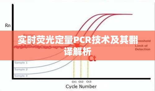 实时荧光定量PCR技术及其翻译解析