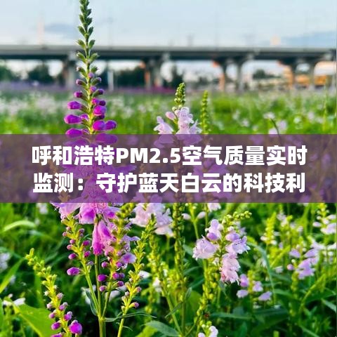 呼和浩特PM2.5空气质量实时监测：守护蓝天白云的科技利器