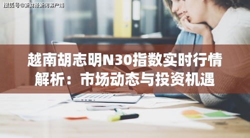 越南胡志明N30指数实时行情解析：市场动态与投资机遇