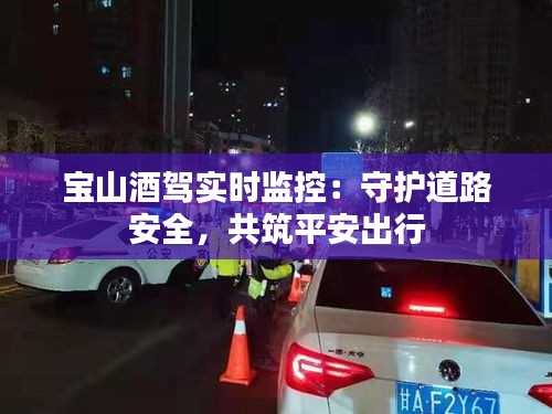 宝山酒驾实时监控：守护道路安全，共筑平安出行