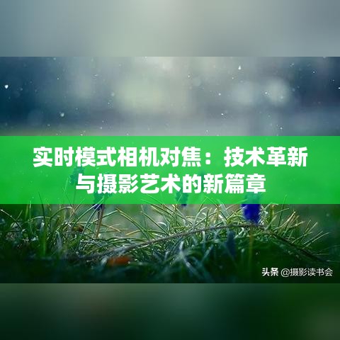 实时模式相机对焦：技术革新与摄影艺术的新篇章