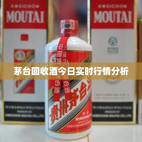 茅台回收酒今日实时行情分析