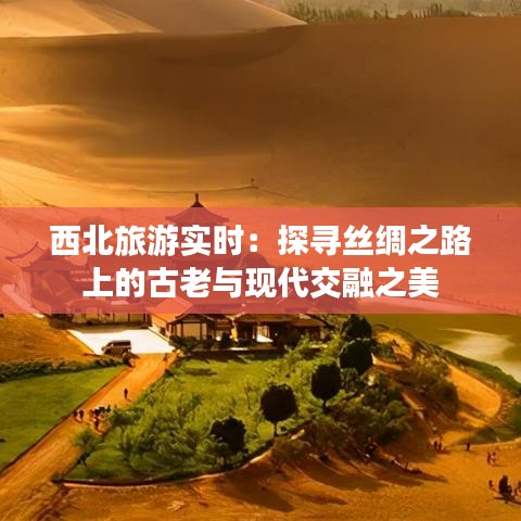 西北旅游实时：探寻丝绸之路上的古老与现代交融之美