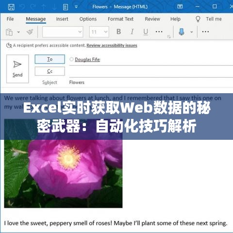 Excel实时获取Web数据的秘密武器：自动化技巧解析