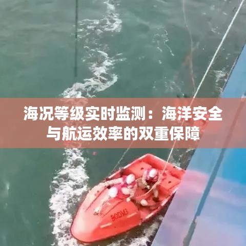 海况等级实时监测：海洋安全与航运效率的双重保障