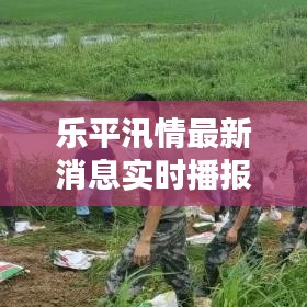 乐平汛情最新消息实时播报：全力应对，守护家园安全