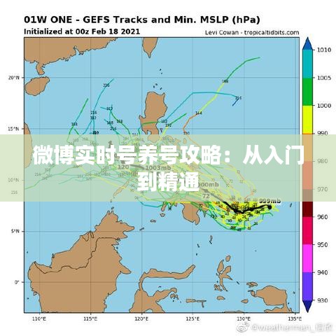 微博实时号养号攻略：从入门到精通