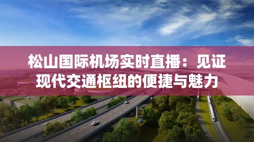 松山国际机场实时直播：见证现代交通枢纽的便捷与魅力