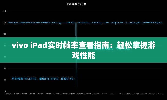 vivo iPad实时帧率查看指南：轻松掌握游戏性能