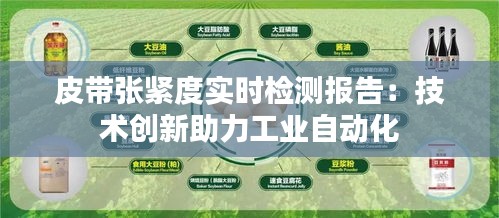 皮带张紧度实时检测报告：技术创新助力工业自动化