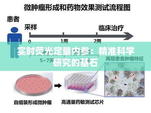 实时荧光定量内参：精准科学研究的基石