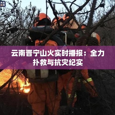 云南晋宁山火实时播报：全力扑救与抗灾纪实