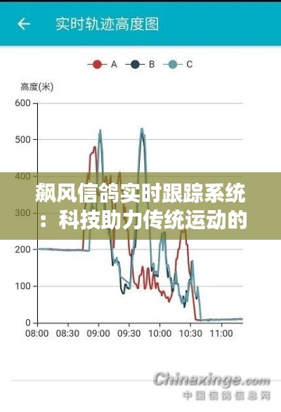 飙风信鸽实时跟踪系统：科技助力传统运动的新篇章