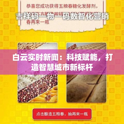 白云实时新闻：科技赋能，打造智慧城市新标杆