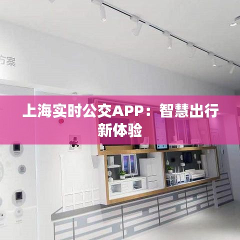 上海实时公交APP：智慧出行新体验