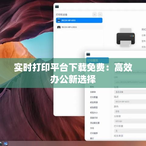 实时打印平台下载免费：高效办公新选择