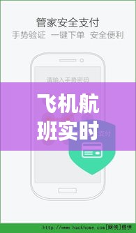 飞机航班实时动态查询：掌握飞行信息的便捷之道