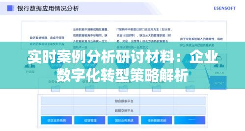 实时案例分析研讨材料：企业数字化转型策略解析