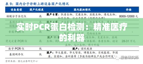 实时PCR蛋白检测：精准医疗的利器