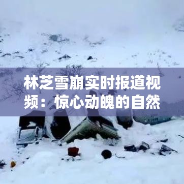 林芝雪崩实时报道视频：惊心动魄的自然力量