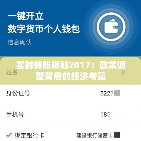 实时转账限额2017：政策调整背后的经济考量