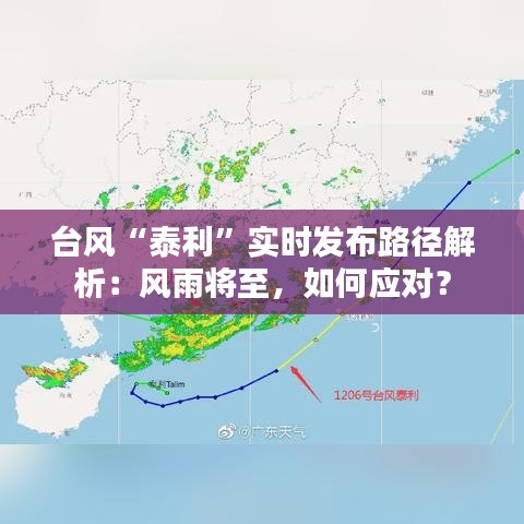 台风“泰利”实时发布路径解析：风雨将至，如何应对？