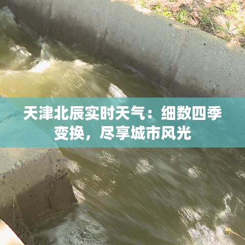 天津北辰实时天气：细数四季变换，尽享城市风光