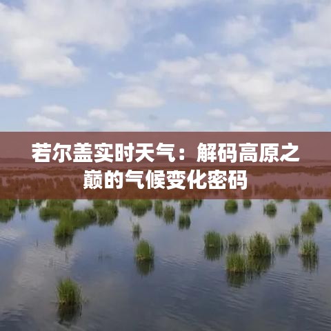 若尔盖实时天气：解码高原之巅的气候变化密码