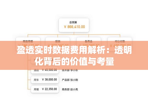 盈透实时数据费用解析：透明化背后的价值与考量