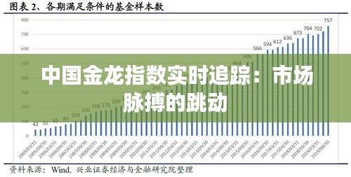 中国金龙指数实时追踪：市场脉搏的跳动