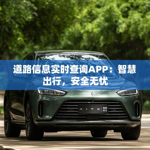 道路信息实时查询APP：智慧出行，安全无忧