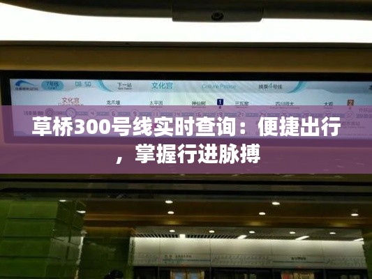 草桥300号线实时查询：便捷出行，掌握行进脉搏