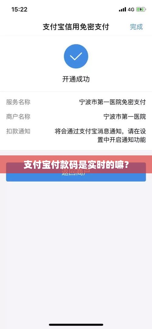 支付宝付款码是实时的嘛？