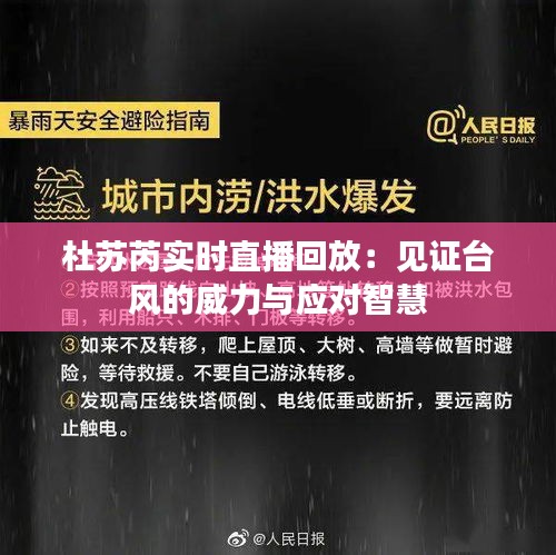 杜苏芮实时直播回放：见证台风的威力与应对智慧